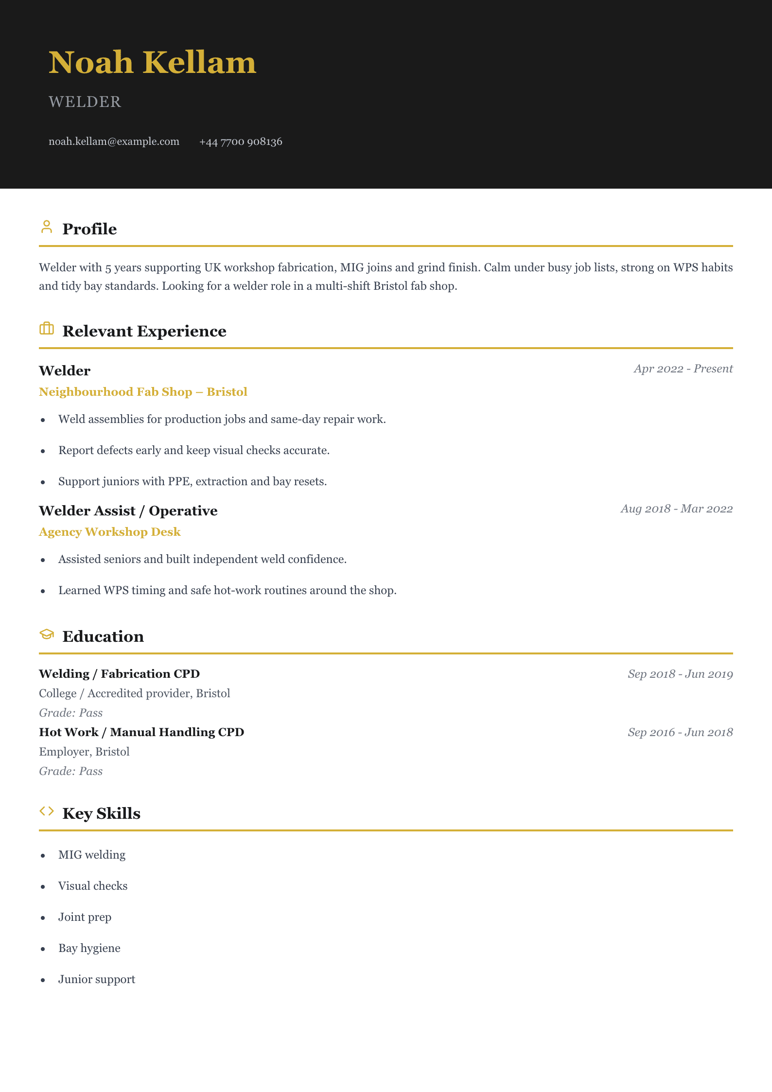 shop welder CV template