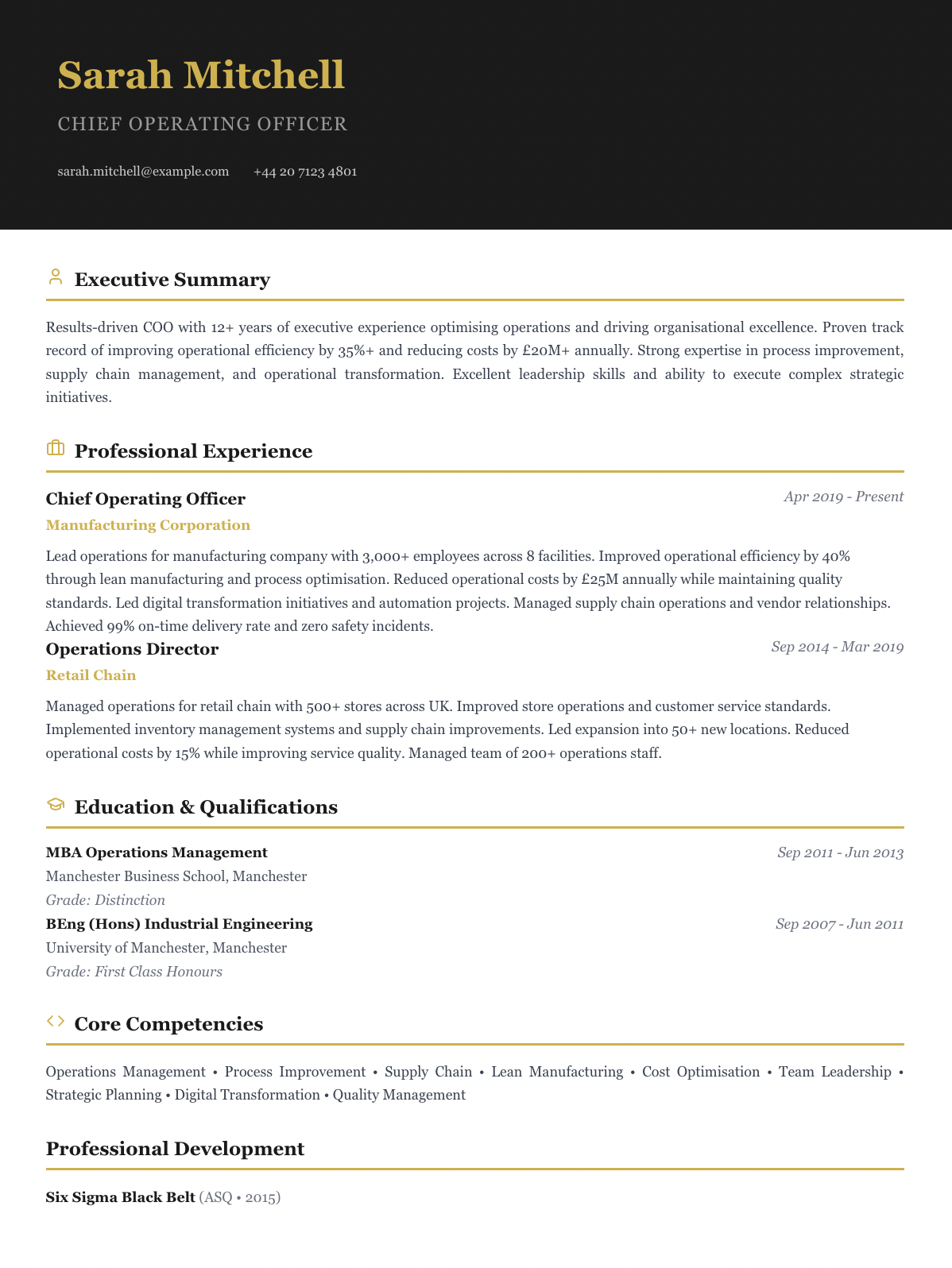 free executive cv template senior management
