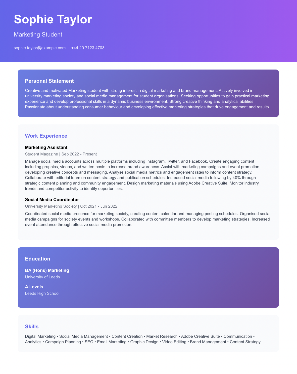 free student cv template creative student